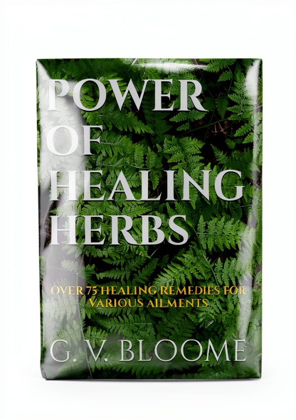 Bloome Publishing Kindle Book 298 Pages English-0