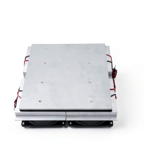 Walfront 240W High Performance Thermoelectric Peltier Cold Plate Cooler with Fan, Black, Electrical Accessories-2